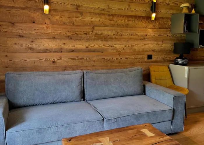 Superbe studio au pied des pistes