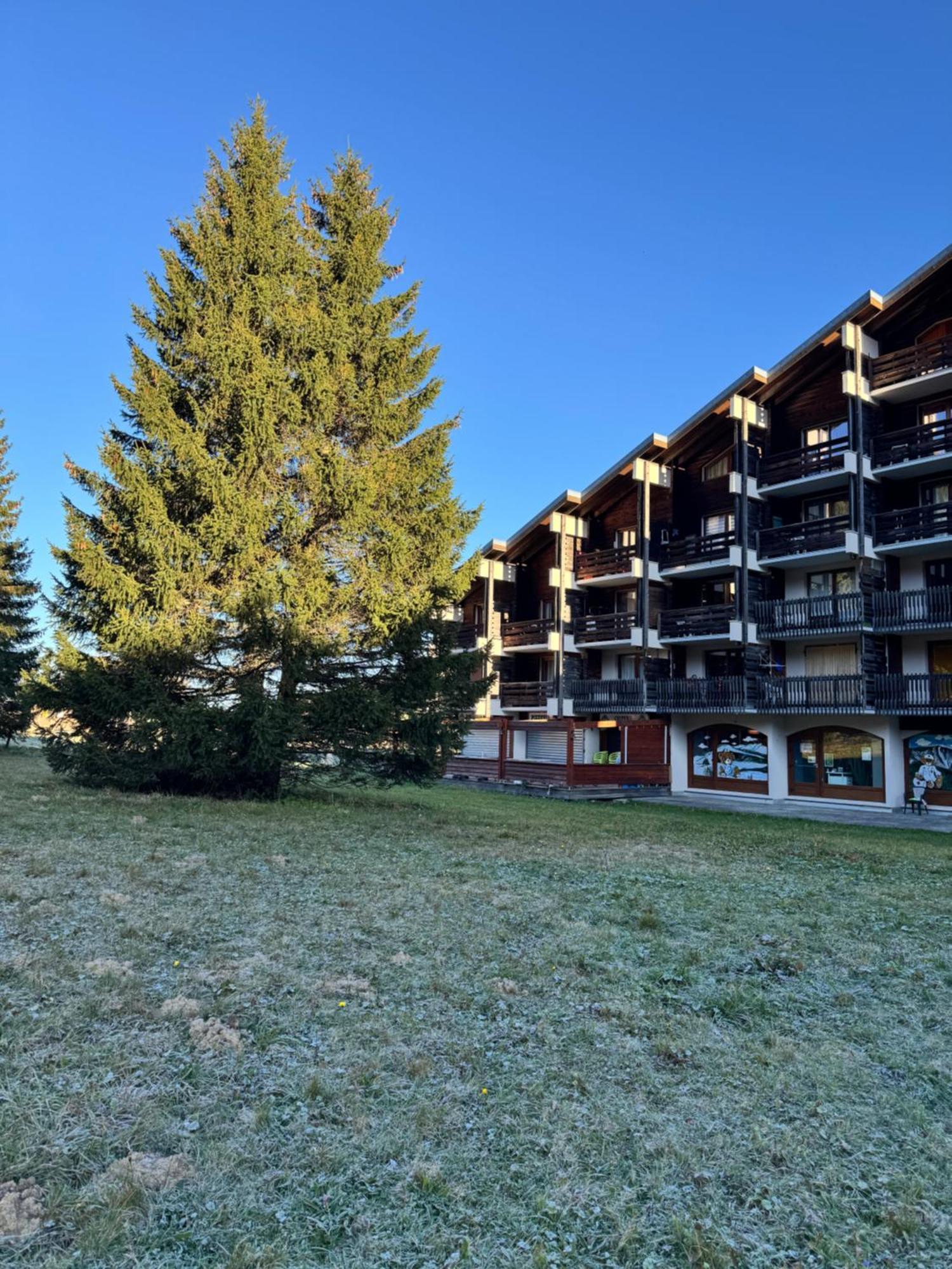 Superbe De Montagne, Au Pied Des Pistes De Apartment La Morte