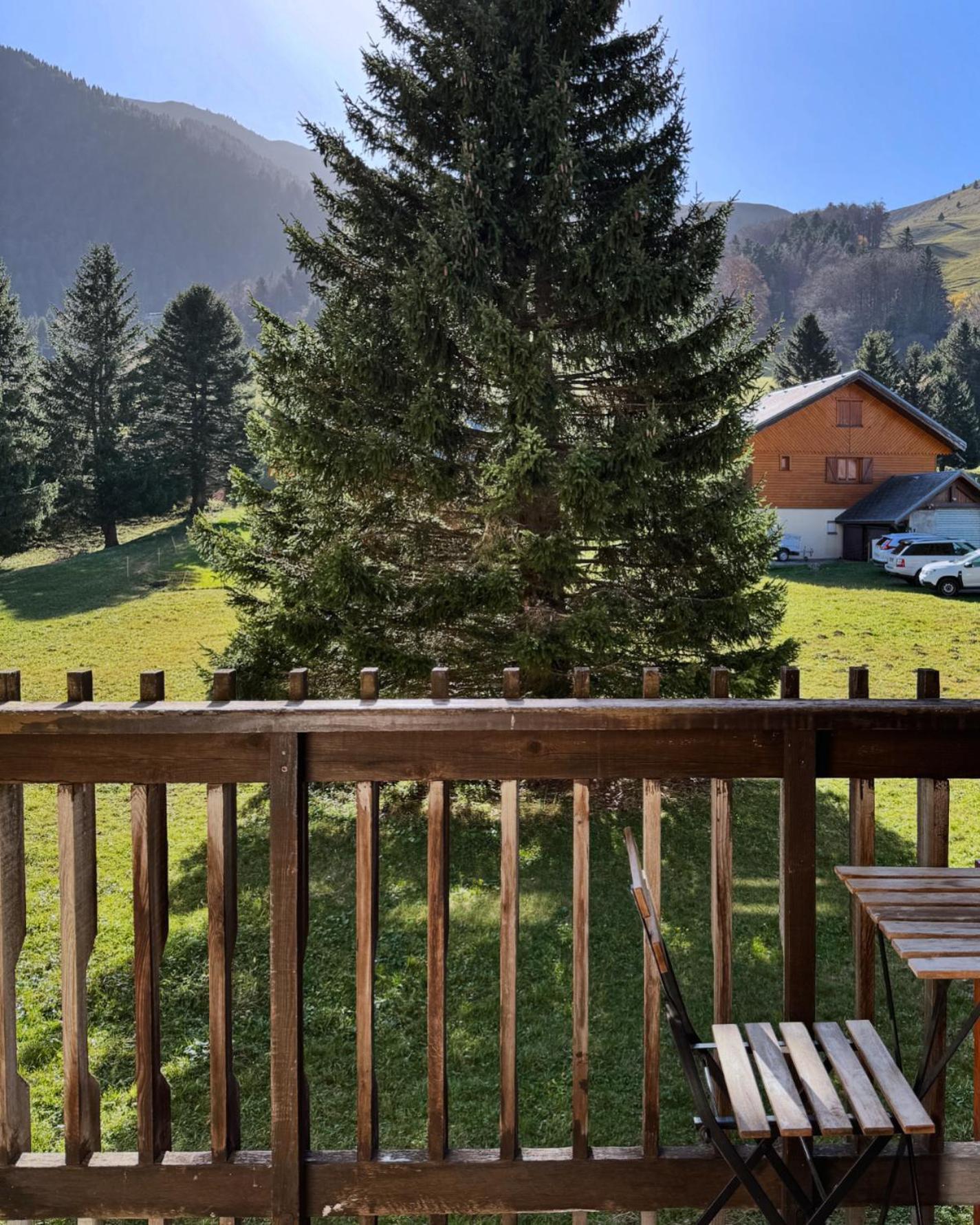 Apartment Superbe De Montagne, Au Pied Des Pistes De *